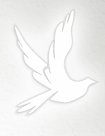 Cynthia Paulina (Allton) Willhelm Obituary